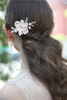 Bridal Headwear Earring Jewelry Wedding Women Earring Hair Pins Set